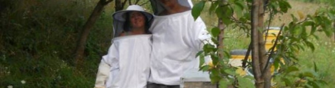Ce inseamna pentru noi apicultura